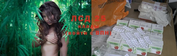 трава Алексин