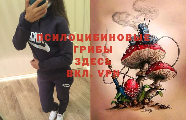 каннабис Алексеевка