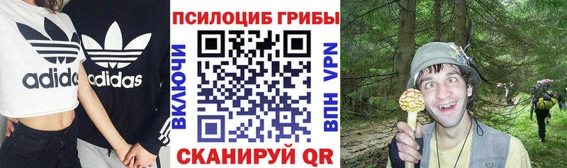 Псилоцибиновые грибы мухоморы  Ишим 
